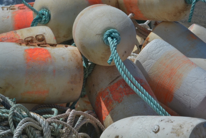buoys
